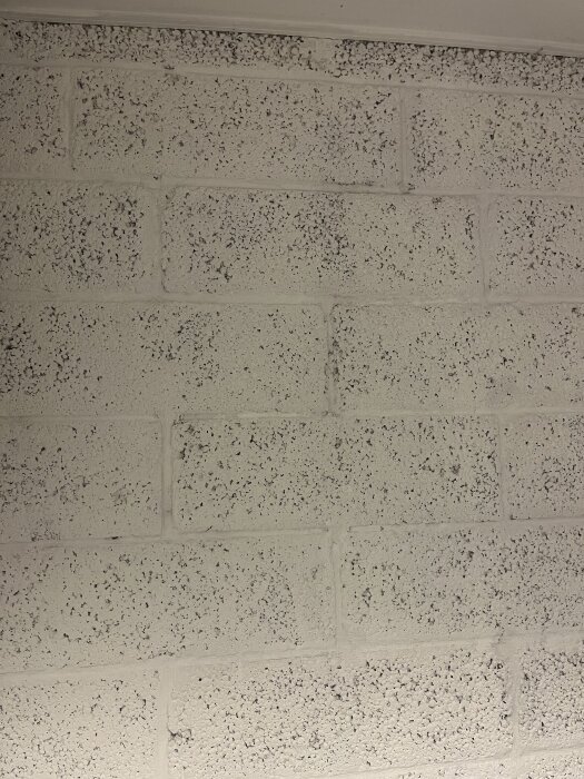 Målade lecablock med grynig yta i en källare, för byggprojekt med eventuellt puts eller spackling.