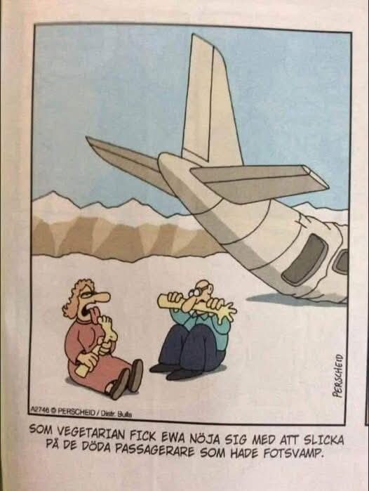 Tecknad bild av två överlevande vid ett störtat flygplan i bergsmiljö. En person äter en fot, medan den andra ser äcklad ut och slickar på något.