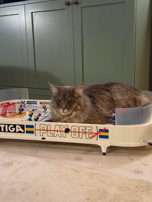 Katt sitter på ett bordsishockeyspel, omgiven av små spelarpjäser och ett målbur. Bakgrunden är ett grönt skåp.