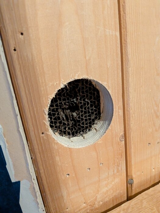 Närbild av trävägg med runt hål som visar ett fyllnadsmaterial av wellpapp.
