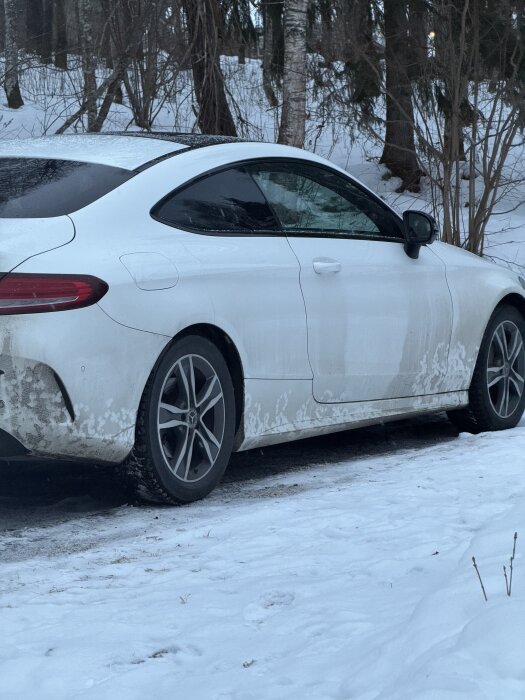 Vit bil parkerad på snöig väg omgiven av träd i vintermiljö.