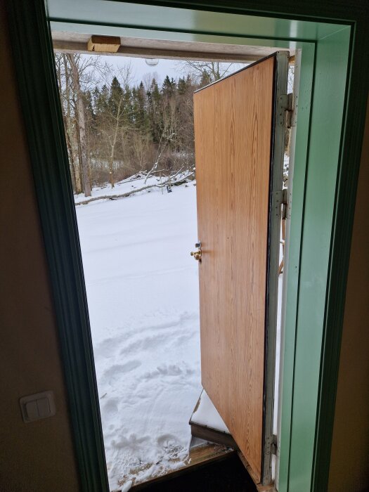 Öppen ytterdörr med utsikt över snötäckt trädgård och skog bakom. Dörren har grönt karmfoder och träpanel.