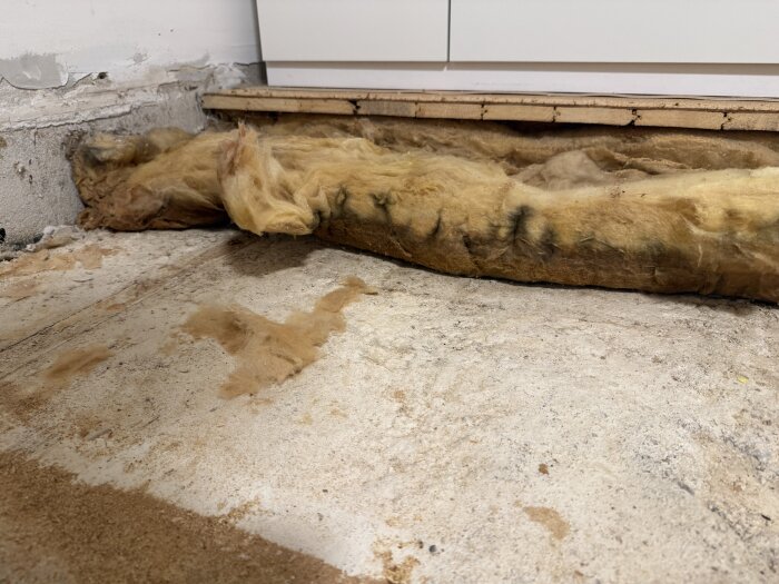 Isolering under ett gammalt golv som rivits upp, visar tecken på fukt och smuts, med vägg och golv i bakgrunden.