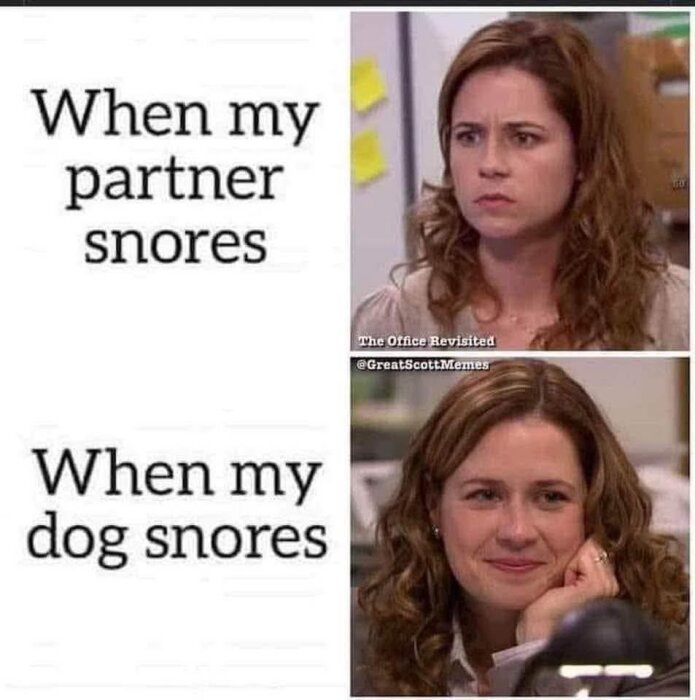 Två bildrutor, den ena visar en irriterad person med texten "When my partner snores", den andra visar en nöjd person med texten "When my dog snores".
