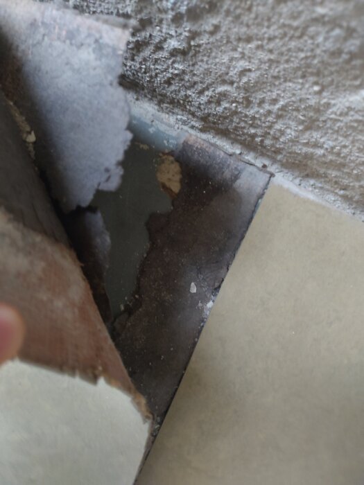 Närbild på ett lager av svart filtliknande material under en linoleummatta i ett källargolv, potentiellt misstänkt för att innehålla asbest.