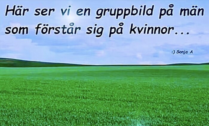 Grön äng med texten "Här ser vi en gruppbild på män som förstår sig på kvinnor..." skriven över himlen.