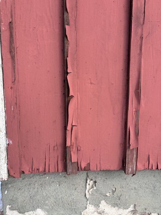 Flagnande röd färg på panelbrädor av en sommarstuga från 50-talet, med sliten puts vid grunden.