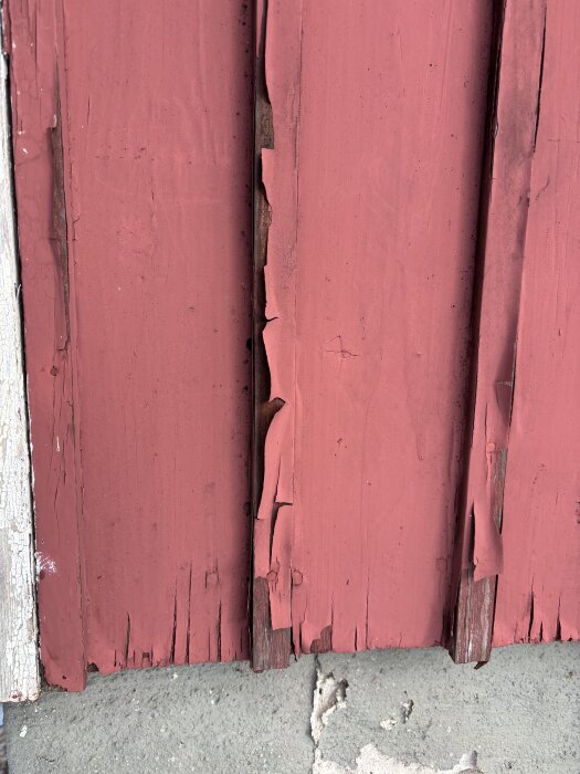 Avflagnande röd färg på träpanel, del av äldre byggnad. Färgen ser slitna ut och delar av träet är synligt. Betonggrund nedanför.