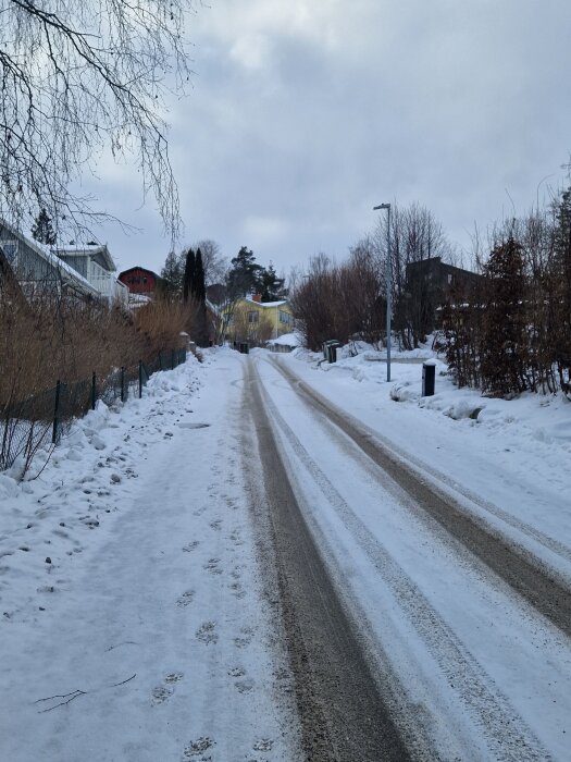 Snöig landsväg med hus på sidorna, vinterdag med grenar och buskar täckta av snö, grå himmel i bakgrunden.