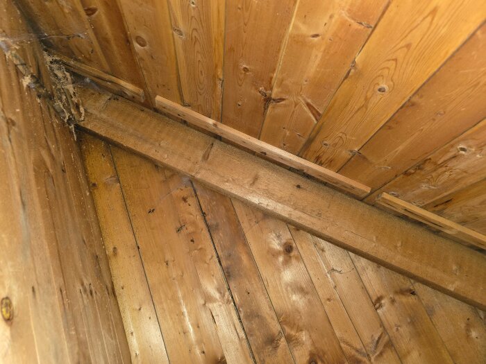 Träpanel och takbjälke på en vind med tecken på mikrobiell tillväxt och fuktskador. Inga synliga tecken på läckage.