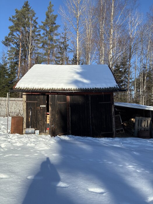Snötäckt förråd på en gård, delvis insjunken i snön, med synligt lutande struktur, omgivet av barrträd och en klarblå himmel i bakgrunden.