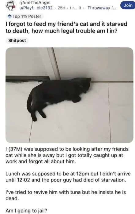 En svart katt ligger på sidan mot ett vitt kakelgolv.