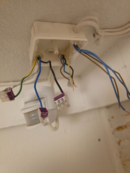 Takmonterad kopplingsdosa med oskyddade elektriska kablar och kopplingsklämmor. En rörelsesensor syns i bakgrunden.