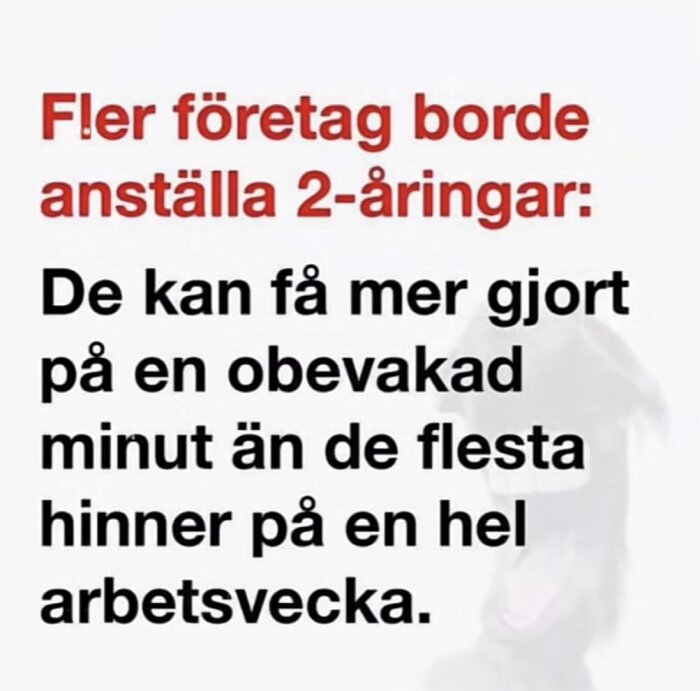 Skämtbild med text: 'Fler företag borde anställa 2-åringar: De kan få mer gjort på en obevakad minut än de flesta hinner på en hel arbetsvecka.'