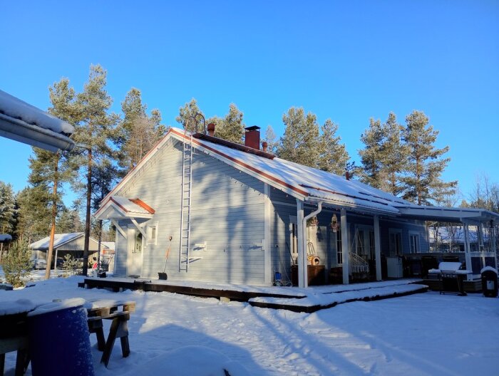 Hus i vintersol med snö på taket, omgiven av tallar, med en stege mot taket och skuggor från träden som faller över marken.