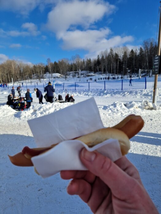 Korv med bröd i en hand, täckt med servett, i vinterlandskap med människor och snö, vid skidspår och skog i bakgrunden under klarblå himmel.