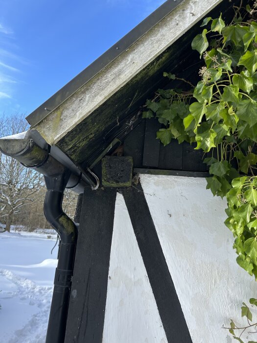 Gammelt hus med sort og hvitt bindingsverk, tak, og eføy, sett fra utsiden. Snølandskap og blå himmel i bakgrunnen.