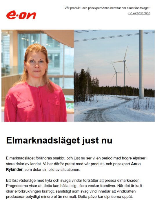 En kvinna i rosa blus står inomhus, bredvid en snöig landsväg med vindkraftverk i bakgrunden.