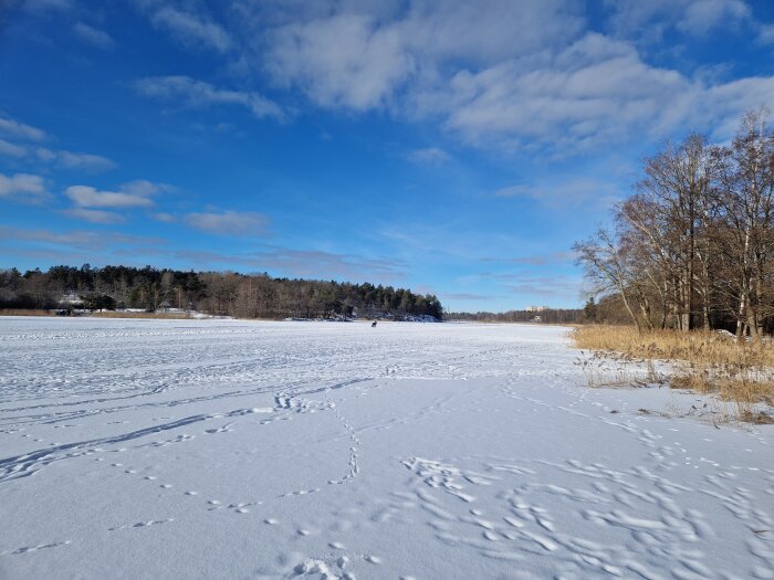 Snöig landskapsscen med en frusen sjö och trädområden under en klarblå himmel, fotspår syns på snön.