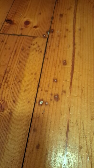 20260215_124954.jpg