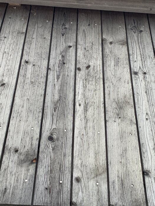 Träfasad med smuts och små svarta prickar nära takfot, panel suttit i 6 år, belägen på sidan som inte är i söderläge.