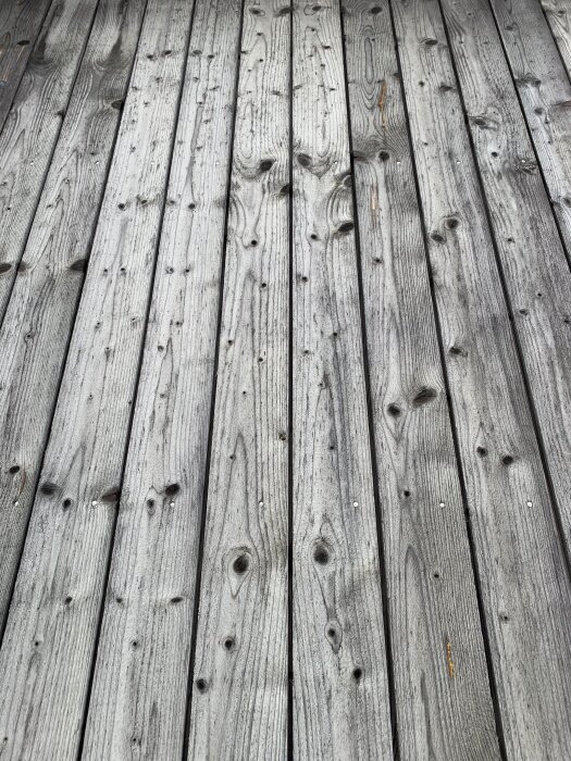Gråbrun träpanel utomhus med små svarta prickar, belägen högt upp under takfoten. Samma sida som inte är i söderläge.