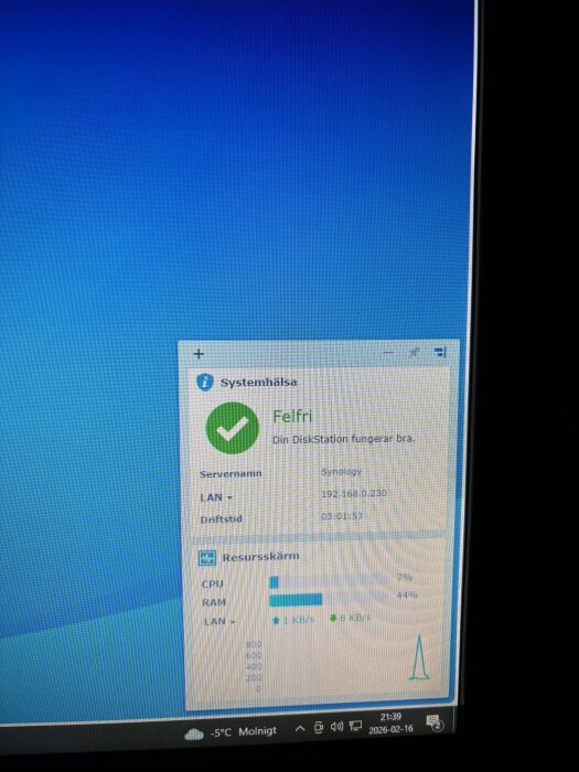 Skärmbild av systemstatus för DiskStation från Synology med CPU- och RAM-användning samt nätverksinformation på Windows-skrivbord.