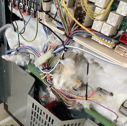 Elektriska komponenter med färgglada kablar och skador, inklusive smuts och slitage, i ett öppet elektrisk panel eller enhet.