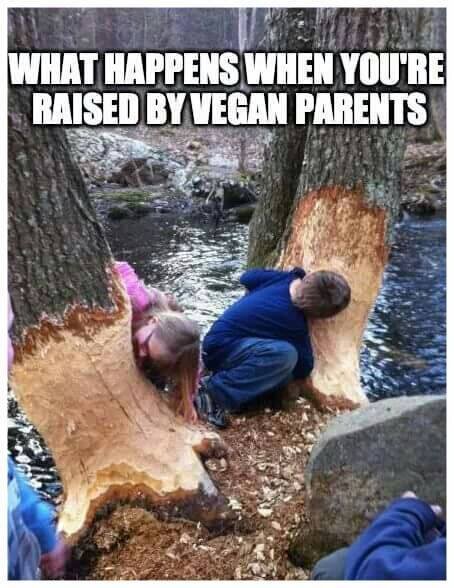 Barn leker vid träd med gnagmärken, titeln "What happens when you're raised by vegan parents" syns på bilden, intill en vattenström.