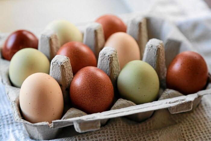 Färgglada ägg i en kartong med olika nyanser av brunt, beige, och grönt, placerade på en duk.