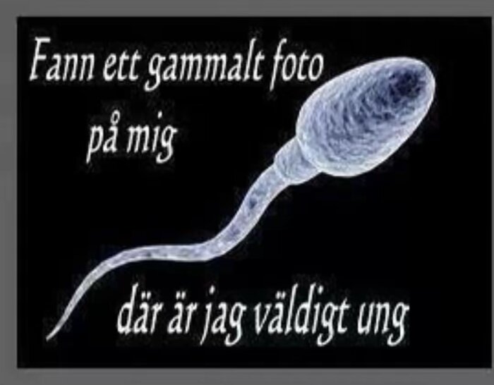 En tecknad spermie med texten: "Fann ett gammalt foto på mig där är jag väldigt ung" mot svart bakgrund.