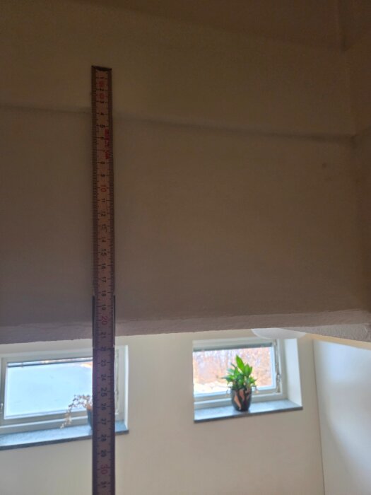 Måttstocksfoton framför tvättstugevägg med fönster och växt.