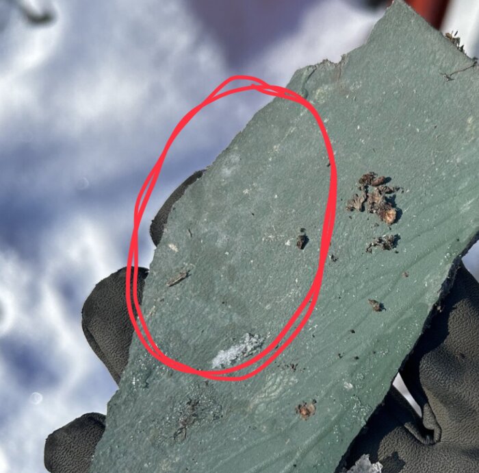 Närbild av en grönaktig eternitplatta med tydligt mönster, hållen av en handske i snöig miljö, röd cirkel markerar en detalj.