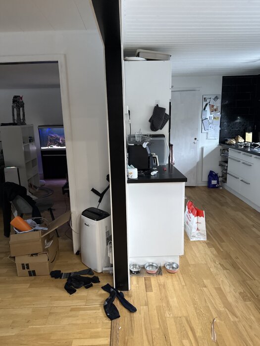 Stökigt kök med köksbänk vid ytterväggen, köksredskap, hundmatskålar och kartonger på golvet.
