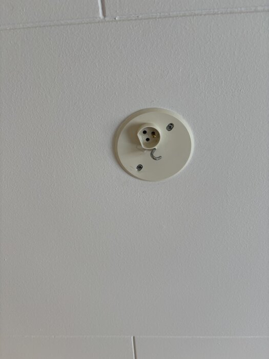 Takmonterat lamputtag med krok för upphängning av lampa, eluttaget har en fastsatt jordad kontakt.