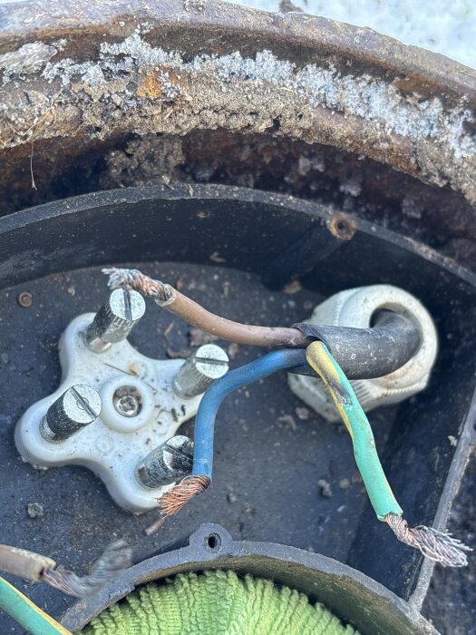 Blottade koppartrådar och jordavlagringar på neutralplint. Kopplingsskruv har svart märke.