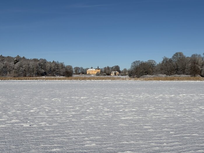 Snötäckt landskap med ett slott och träd i bakgrunden under en klarblå himmel.