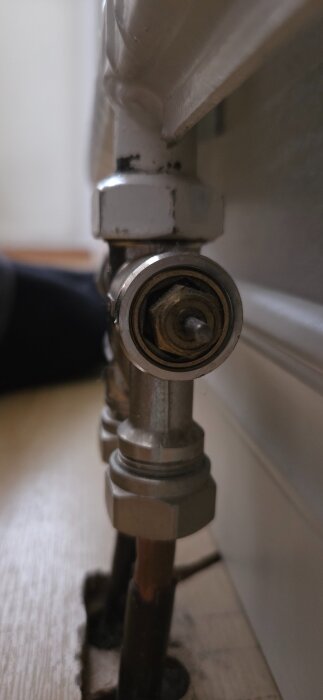 20260217_085647.jpg