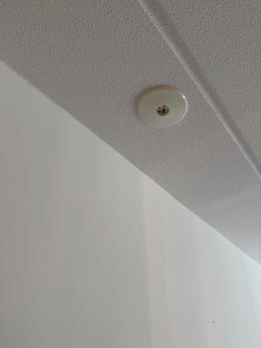 Lamputtag i taket utan krok, monterat på en vit, strukturerad yta. Synliga skruvar och möjligt plastfäste.