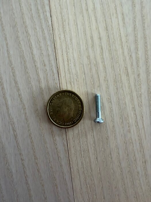 Skruv bredvid ett mynt på en träyta, skruven är cirka 15 mm lång och 2 mm bred.