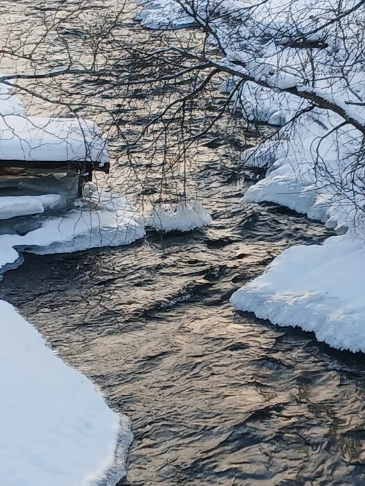 En ström omgiven av snötäckta kanter och grenar, med is som bildats längs bäckens sidor.