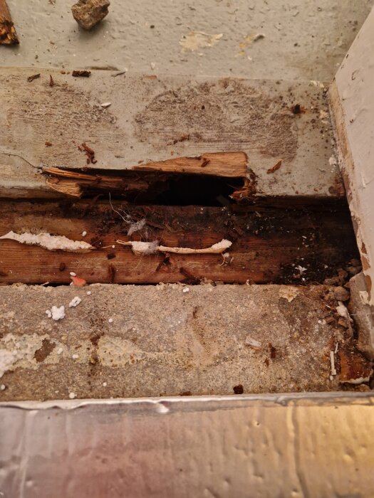 Ruttet trä och skador vid en vägg, med smuts och skräp runtomkring, som visar behov av reparation eller renovering.