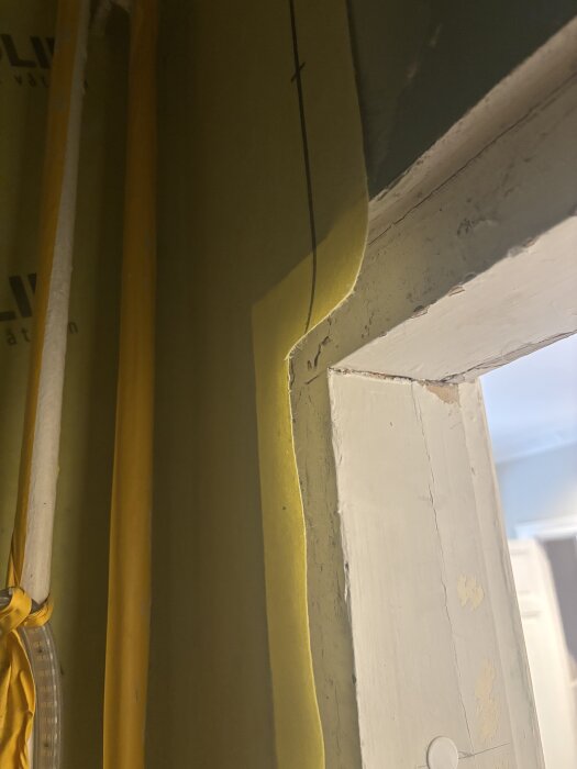 IMG_5676.jpeg