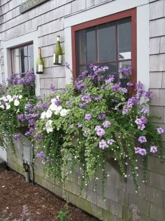 Blomlådor på fönster med lila och vita blommor mot en grå träfasad, flaskor på väggen, visar en idé för att dekorera husfasader enkelt.
