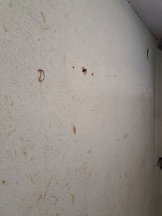 Betongvägg i garage med färg som lossnat; visar hål och fläckar. Under översyn för omgjutning till hemmagym med fokus på renovering och färgval.