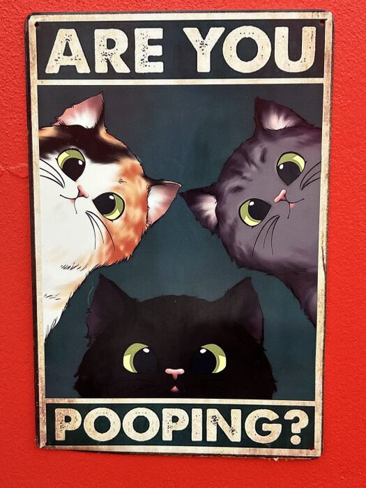 Tre tecknade katter tittar fram på en metallskylt med texten "ARE YOU POOPING?" mot en röd vägg.