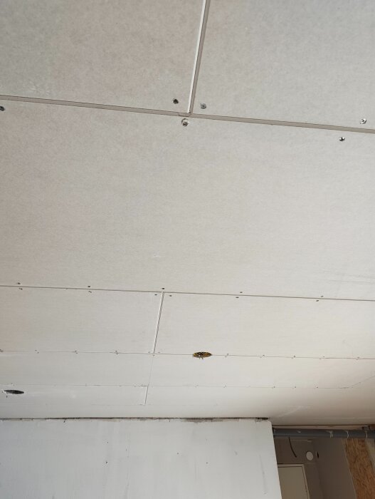 Gipsskivor monterade i taket med synliga skruvhål, ofärdiga kanter och ojämn installation som behöver efterarbete av målaren.