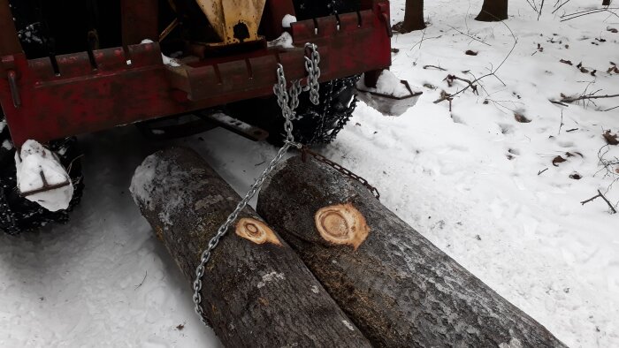 Traktor med kedjor drar två stora stockar på snötäckt mark, stockarna försedda med kedjor för transport.