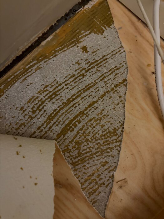 Uppfläkta lager av matta i vardagsrum på plywood, med limrester i mönster synliga. Möjlig fråga om asbest.