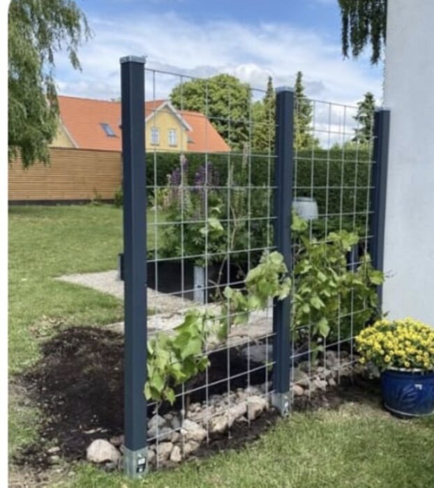 Utomhus staket av metallnät med stolpar, omgivna av gröna växter och en kruka med blommor, i en trädgård med gräsmatta.